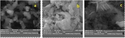 Green synthesis of MgO nanoparticles and its antibacterial properties